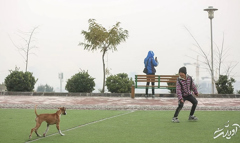 (تصاویر) شرایط ناسالم هوای تهران